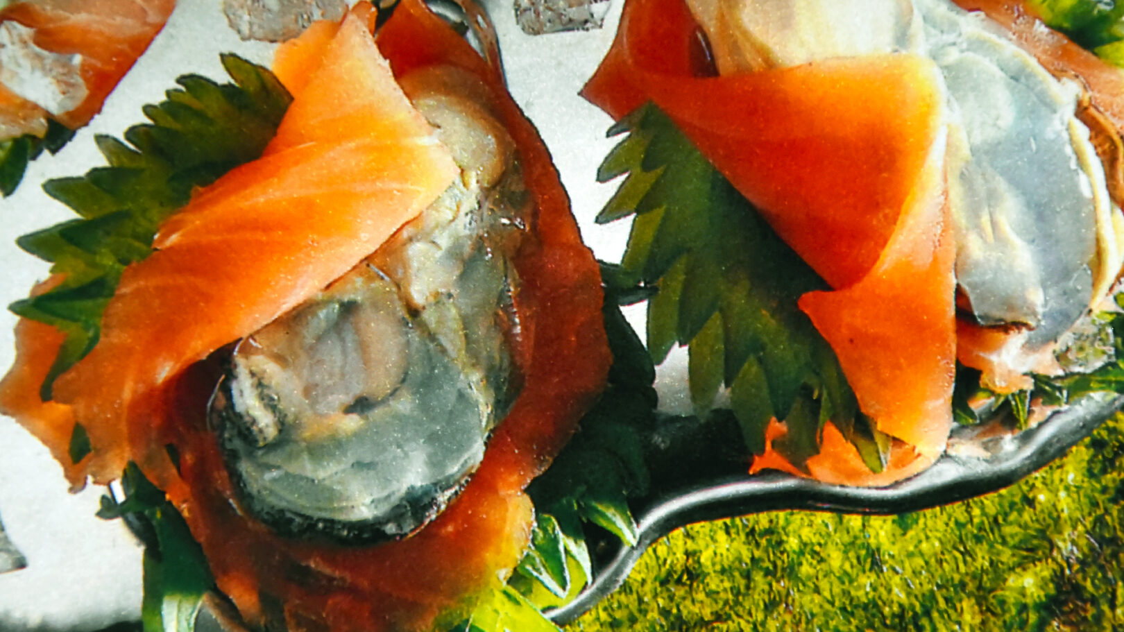 Salmon Tulips with Oysters